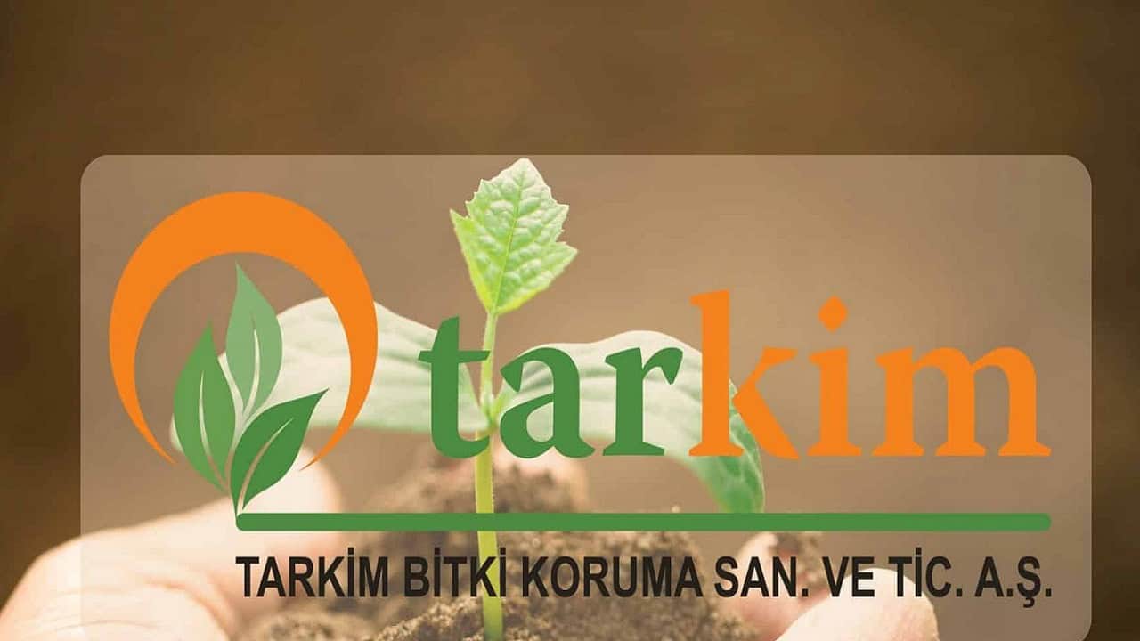 Tarkim (TARKM) Hisse Neden Düşüyor?