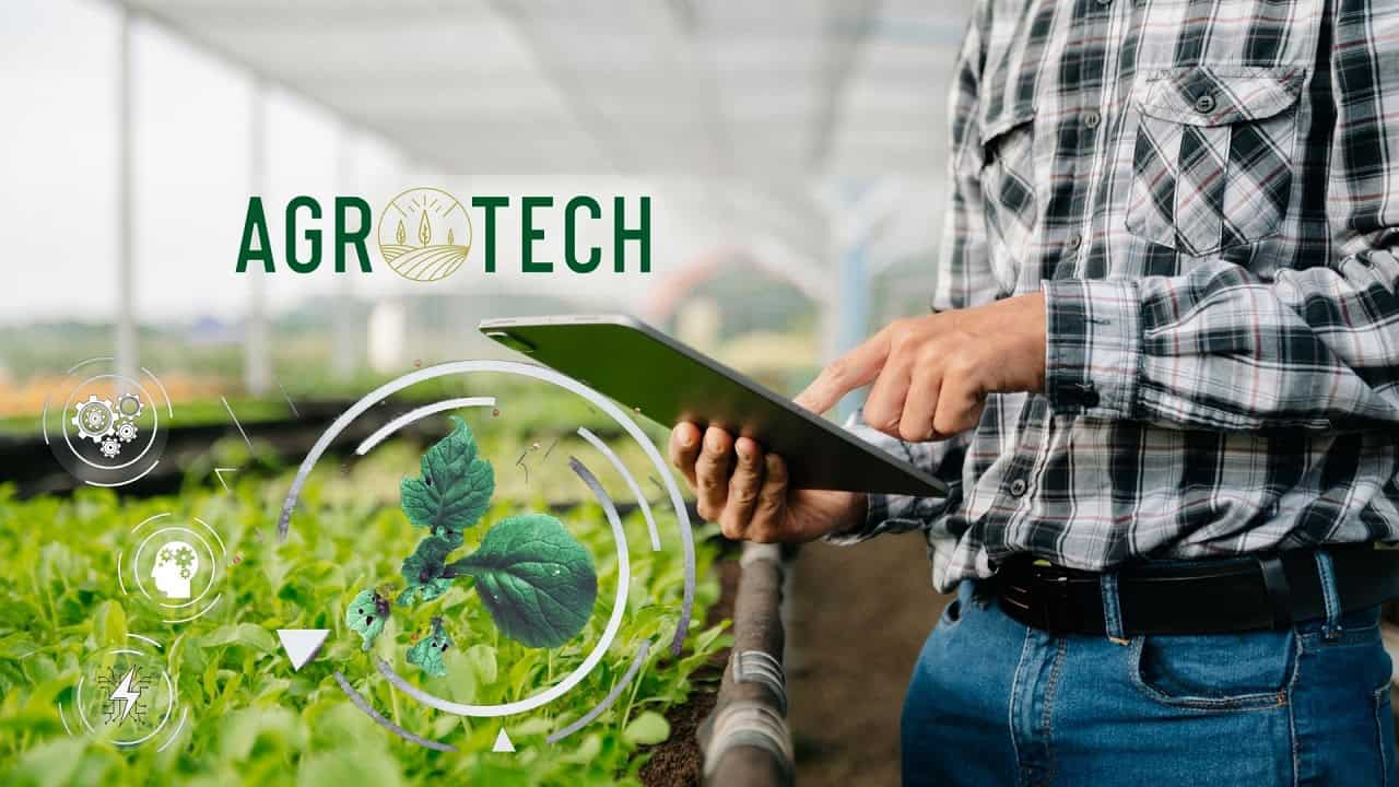 Agrotech (AGROT) Agross Mağazacılık’ı Kurdu