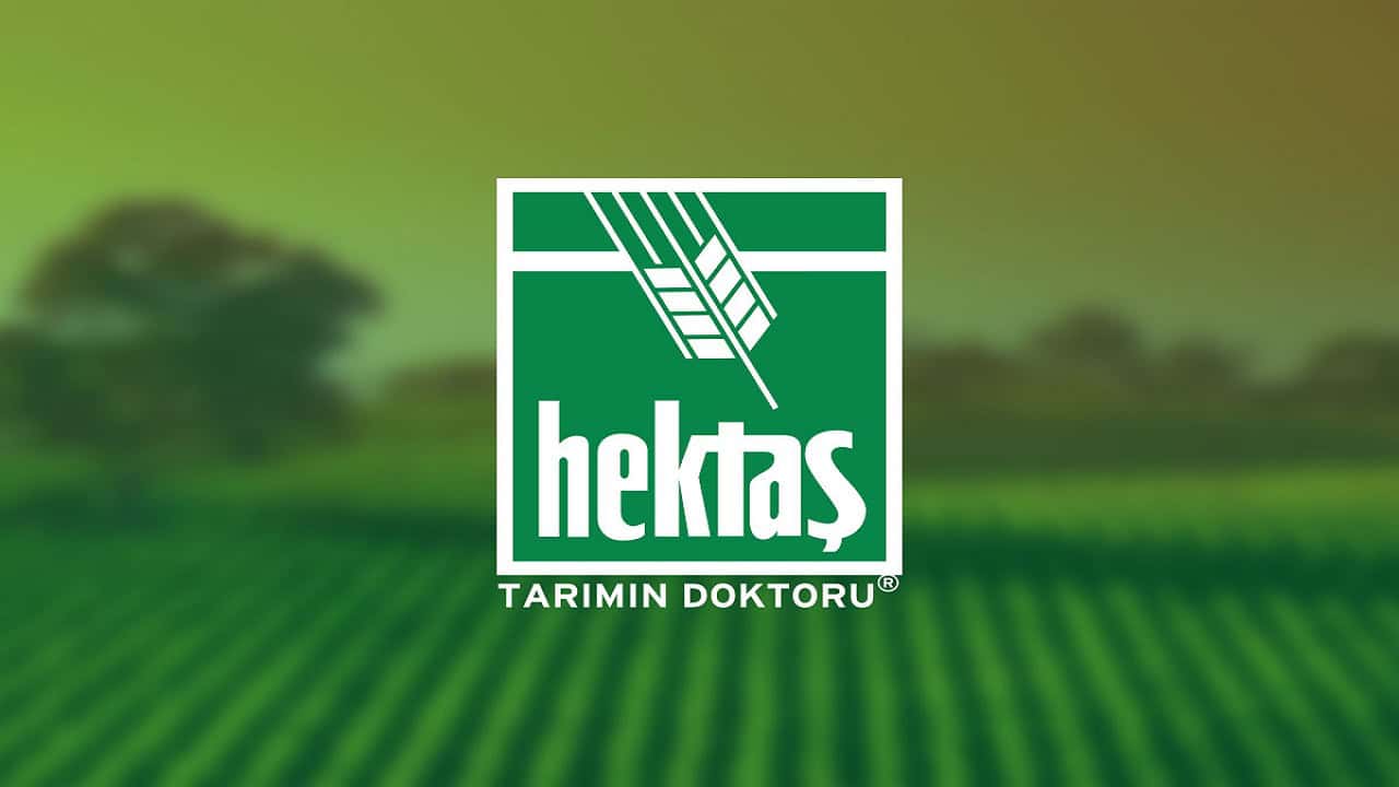 HEKTS borsada 2 yıldır düşüyor