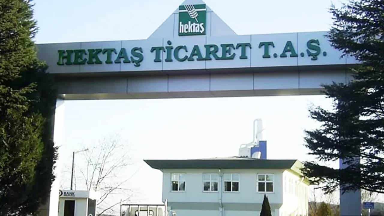 Hektaş (HEKTS) Kimin, Ne İş Yapar?