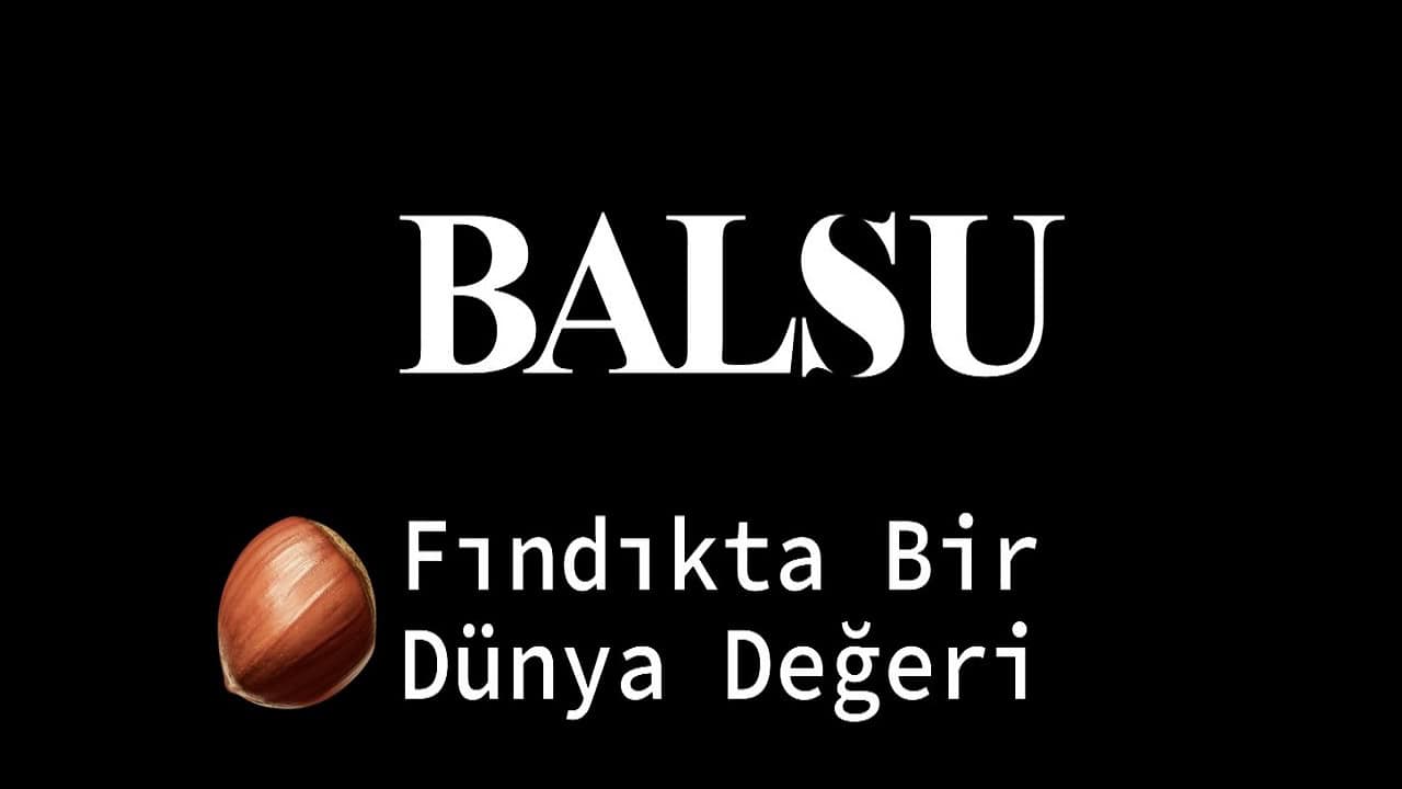 Balsu Kaç Lot Düşer?